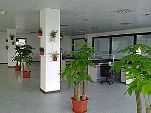 寧波商業(yè)空間裝修指南 辦公室、門面與店面施工要點(diǎn)解析